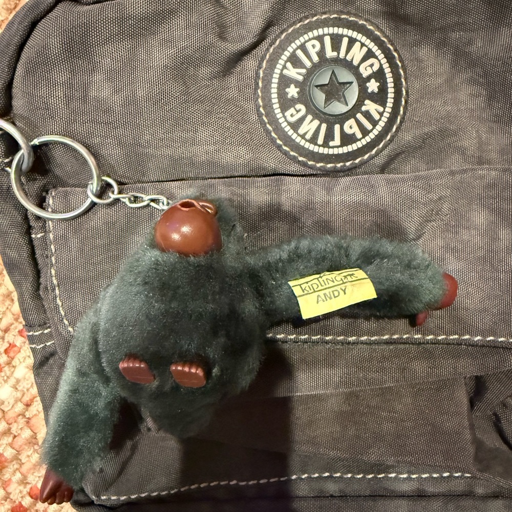 Kipling Crossbody Bag - Picture 2 of 6